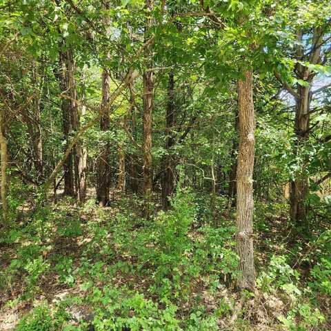 L-43, B-14 Coshise Road, Cherokee Village, AR 72529