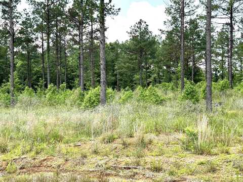 lot 16 Grant County Road 761, Sheridan, AR 72150