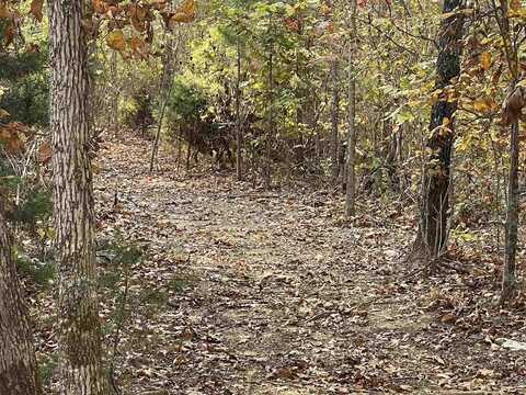 TBD Lower Janes Creek Road, Ravenden Springs, AR 72460