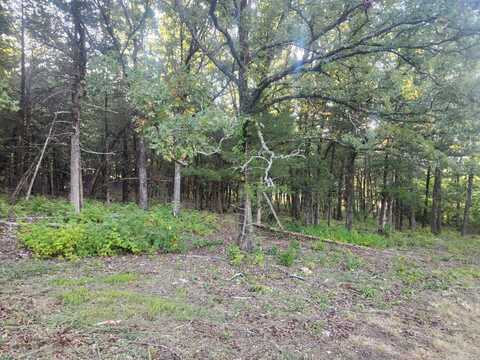 Lot 17 Indian Knob, Mountain View, AR 72560