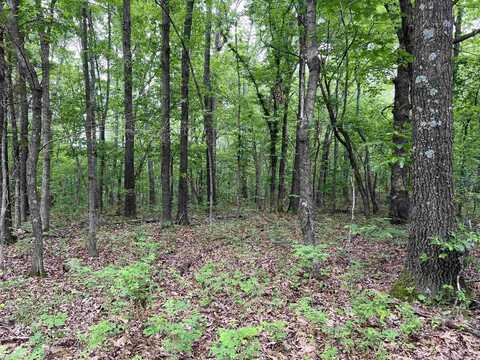12 Acres on Meadow Creek Drive, Harrison, AR 72601