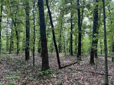 9.58 Acres on Meadow Creek Drive, Harrison, AR 72601