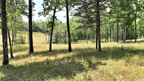TBD, Tract 4 Polk Road 158, Mena, AR 71945