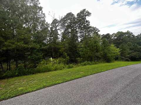 Lot 88 Cobalt Bay Drive, Shirley, AR 72153