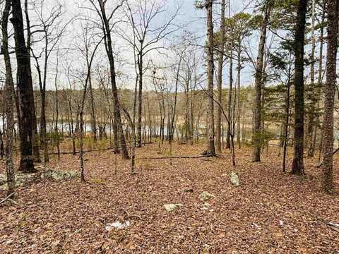 335 Grand Isle Dr Drive, Fairfield Bay, AR 72088