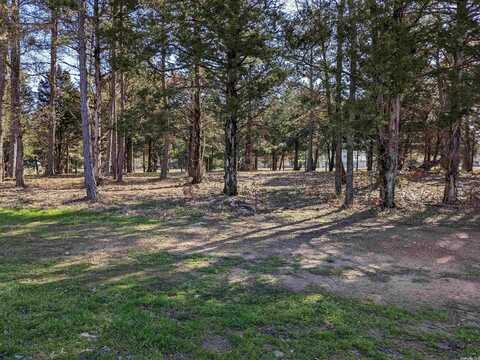 Lot 19 Brighton Pointe, Heber Springs, AR 72543