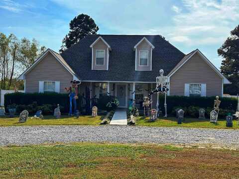 70 Peaceful Drive, Pleasant Plains, AR 72568