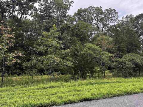 Lot 65 Cobalt Bay Drive, Shirley, AR 72153