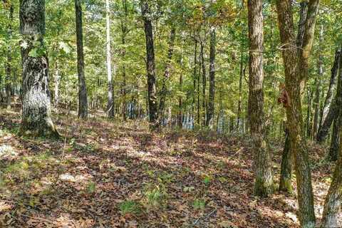 Lot 45 Alava Way, Hot Springs Village, AR 71909