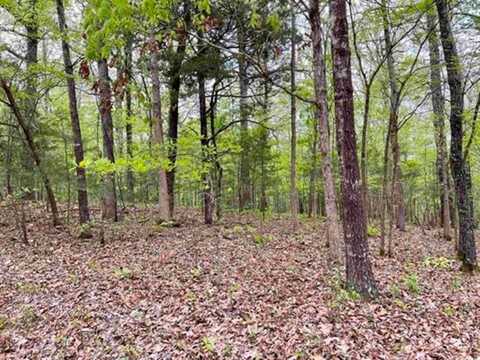 0 Timbercrest Road, Viola, AR 72583