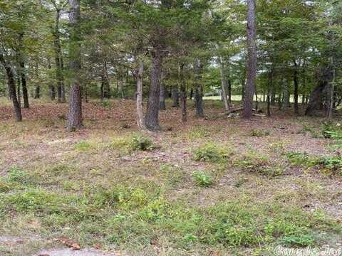 28 Princesa Drive, Hot Springs Village, AR 71909