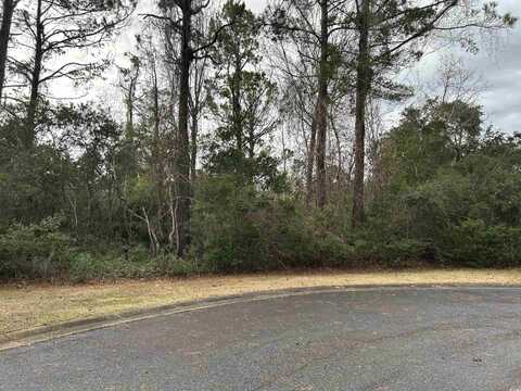 Lot 4 Josie Way, Georgetown, SC 29440