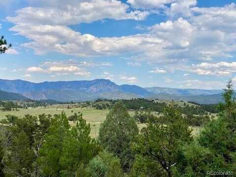 95 Harmon Court, Cotopaxi, CO 81223