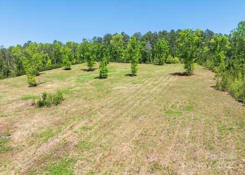 99999 Pea Ridge Road, Mill Spring, NC 28756