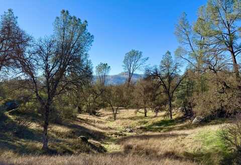 4541 Little Buck Road, Mariposa, CA 95338