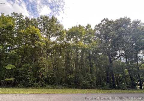 Tbd Lot 8 Forestwood Park Road, Sanford, NC 27330