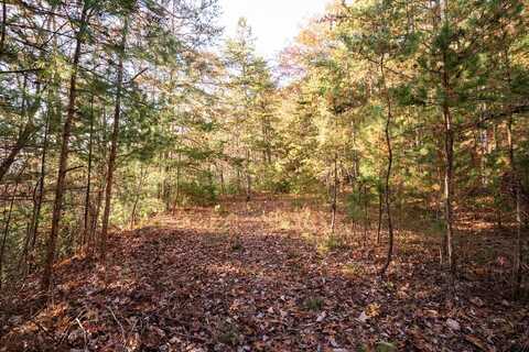 Lot 18 Cherokee Mine Rd, Franklin, NC 28734