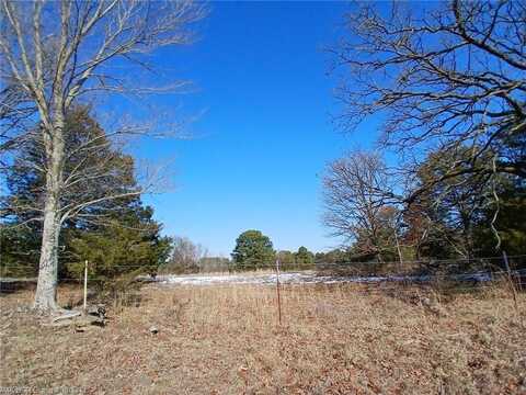 TBD Case RD, Charleston, AR 72933