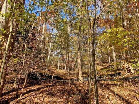 1.2ac Old River Road, Dahlonega, GA 30533