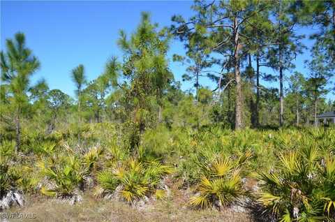 1602 W 14th Street, Lehigh Acres, FL 33972