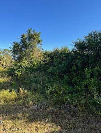 301 Rawlings Avenue, Lehigh Acres, FL 33974
