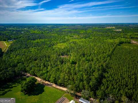 Tract 2 Red Hill, Jesup, GA 31545