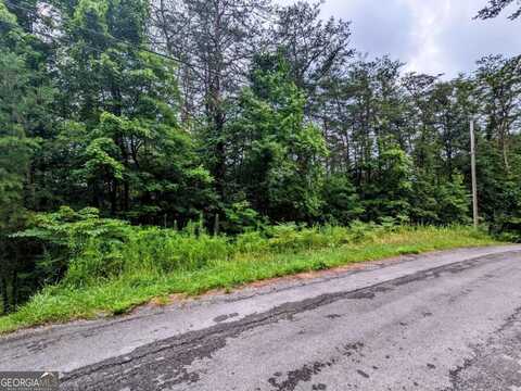 Lot32 Lakeview, Turtletown, TN 37391