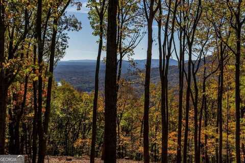 40.5 Ac Windsong, Jasper, GA 30143