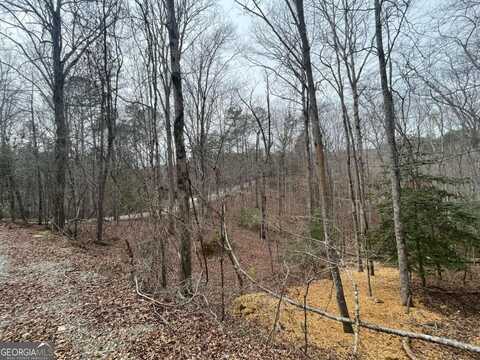 Lot 618 Charity, Ellijay, GA 30540