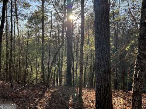 0 Hale, Ellijay, GA 30540