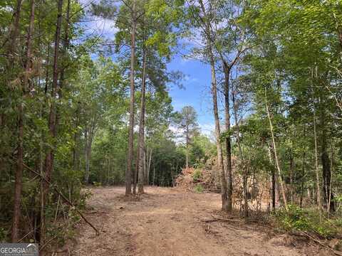 Lot 3 Gum Creek Airport, Roopville, GA 30170