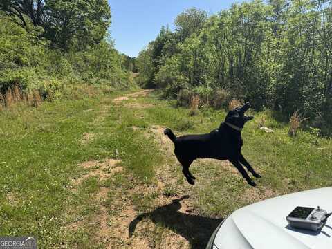 0 Us 53, Bogart, GA 30622