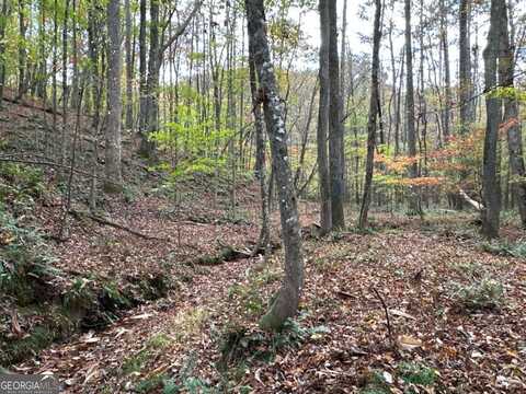 1806 Browning, Rockmart, GA 30153