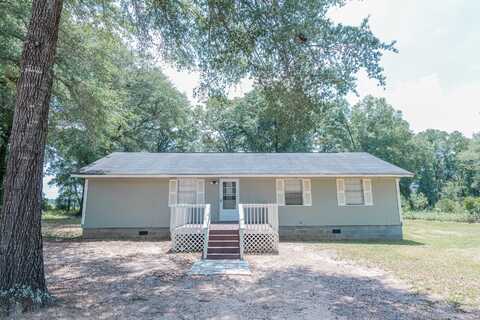 22 Waterford, Hawkinsville, GA 31036