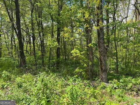 0 Burnt Mountain Cove, Jasper, GA 30143
