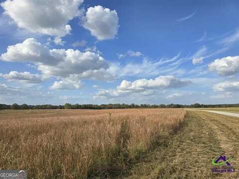 17 Hay Field, Cochran, GA 31014