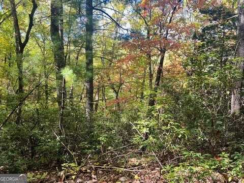 5.47ac Cindy Cove Lots 13-15, Blairsville, GA 30512