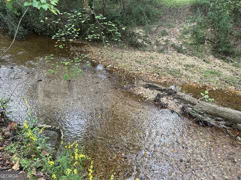 Lot 1 Gum Creek Airport, Roopville, GA 30170