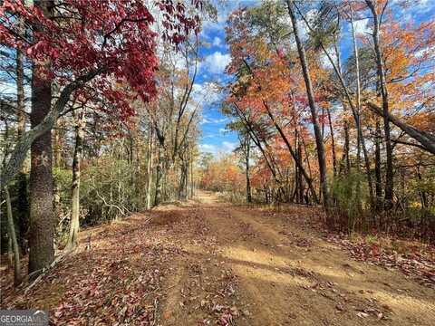 0 Firetower, Jasper, GA 30143