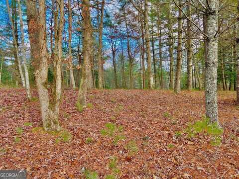 0 Hawks View, Morganton, GA 30560