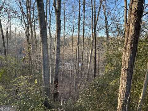 2170 Autumn Chase, Stockbridge, GA 30281