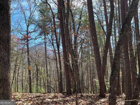 Lot 69 Tipton Springs, Morganton, GA 30560