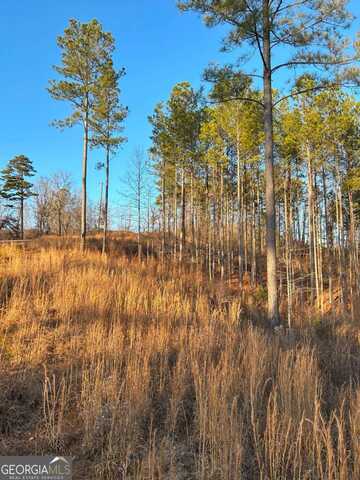 Lt 80 Seven Mile Creek, Talking Rock, GA 30175