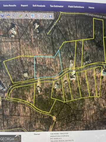 0 Shadowick Mountain, Jasper, GA 30143