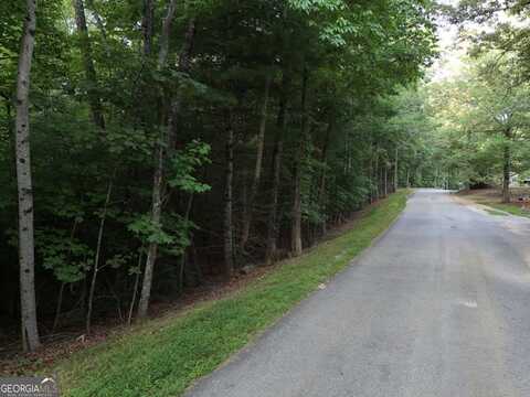 1 Ac Jones Road, Blairsville, GA 30512