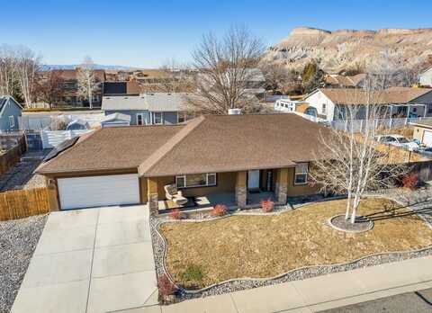 864 Vineyard Avenue, Palisade, CO 81526