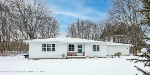 490 S Nevins Road, Stanton, MI 48888