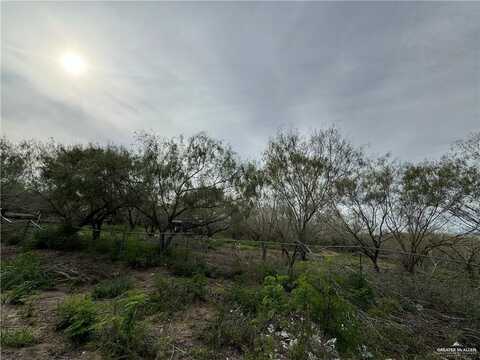 00 Cibolo Road, Edinburg, TX 78542