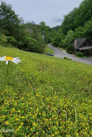 Lot 43 Wedge Tailed Lane, Sevierville, TN 37876