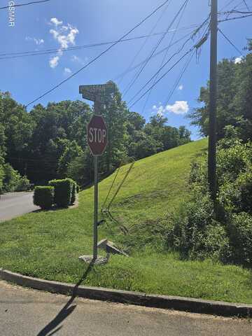 Lot 43 Wedge Tailed Lane, Sevierville, TN 37876